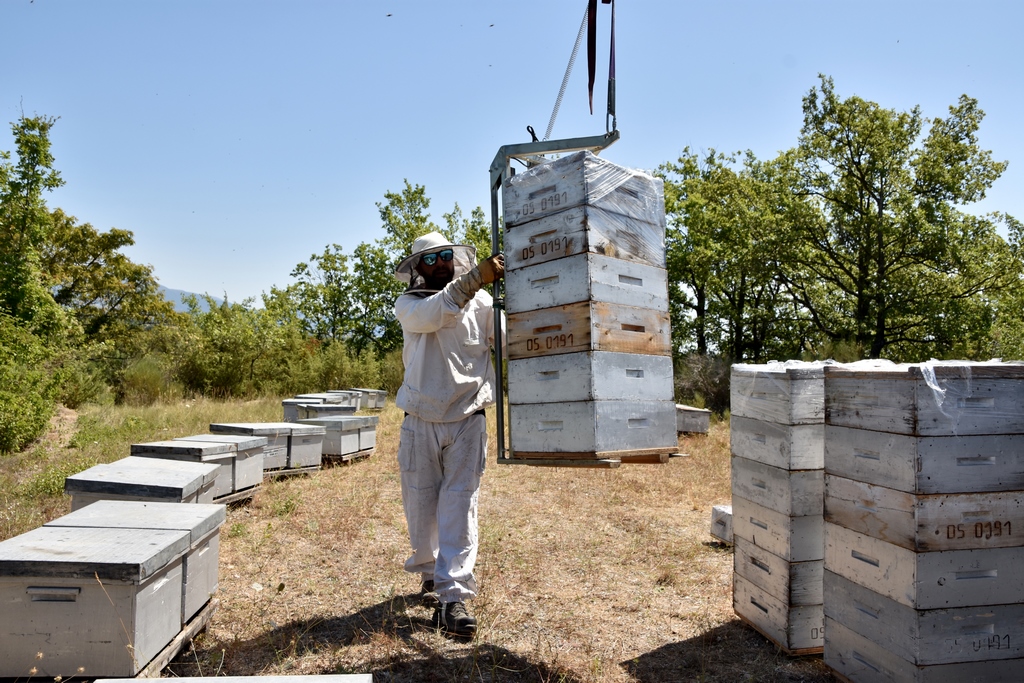 Formation apiculture Hautes-Alpes